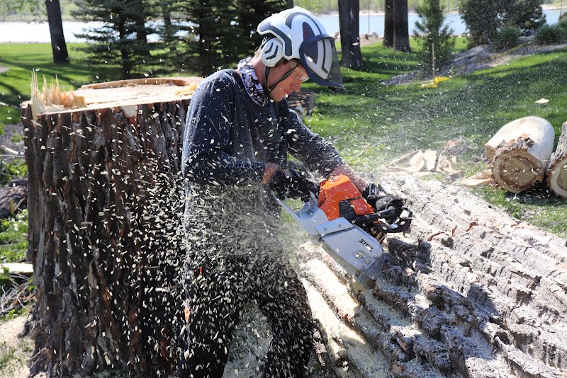 Green Planet Solutions Tree Service — Tree Service in Bismarck, ND