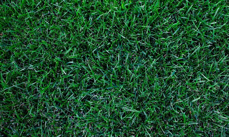 Nitro Green Professional Lawn & Tree Care — Lawn Care in Bismarck, ND