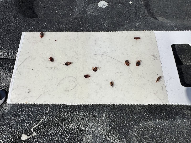 Unitech Pest Control — Pest Control in Bismarck, ND